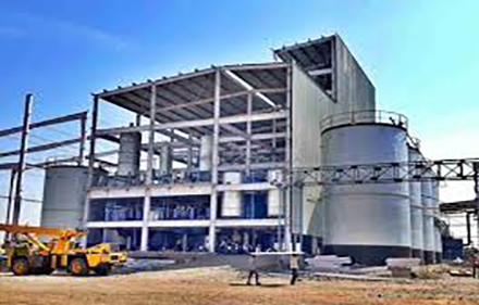 Hazelnut Oil Processing Plant