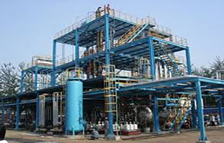 Vegetable Oil Refinery